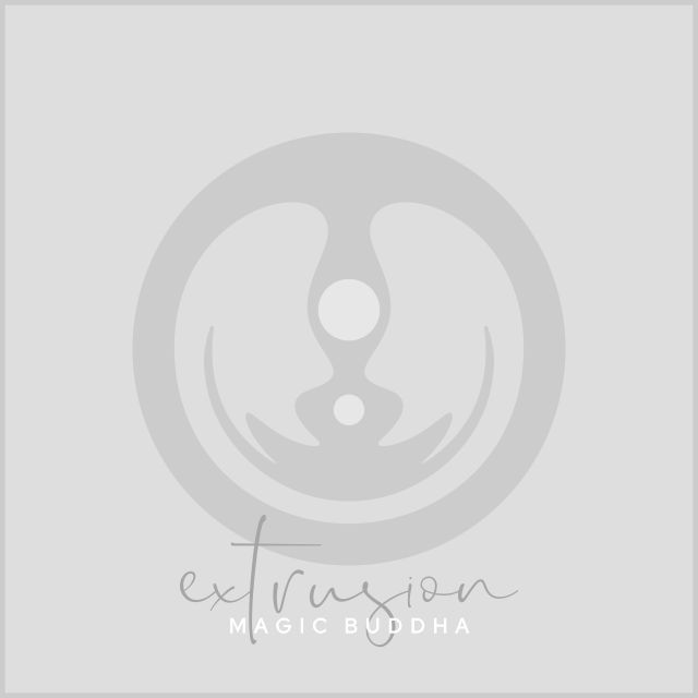 magic buddha - extrusion album cover