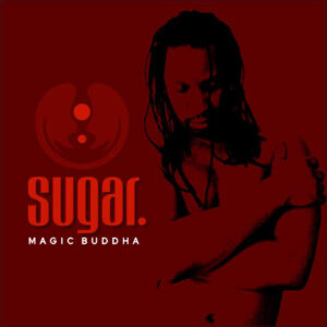 magic buddha - tyrique hassan - sugar album cover